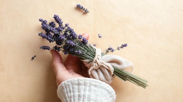 10 idées de sachets de lavande originaux pour décorer votre intérieur